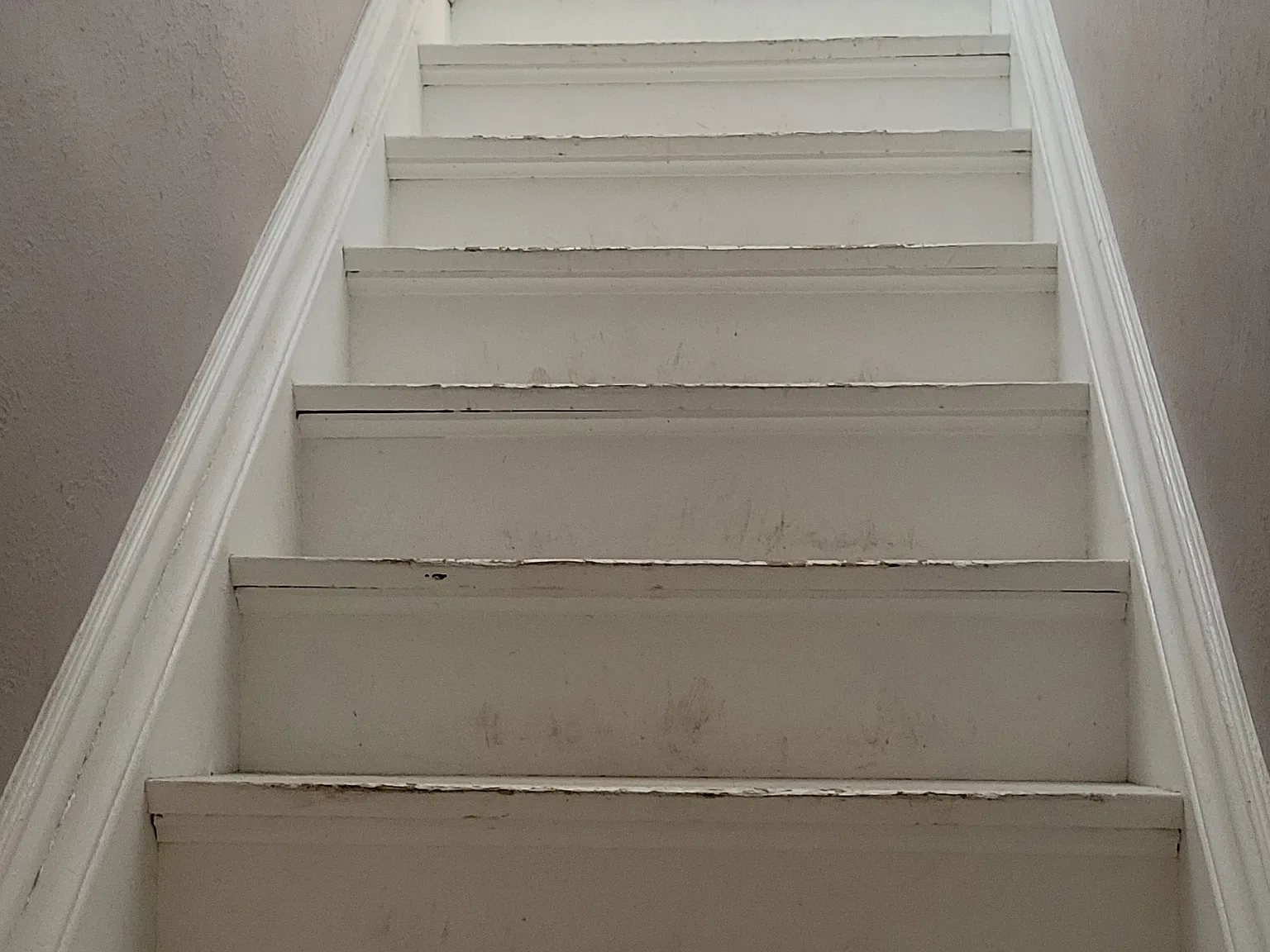 1 bed, 900 sqft, $1,650 — Photo 2