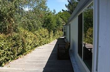 3rd image of 131 Rosea Dr