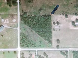 17483 Phil C Peters Rd, Winter Garden, FL 34787