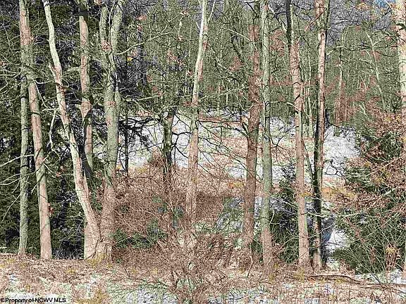 4th image of Lots 29 & 30 Snowy Creek St