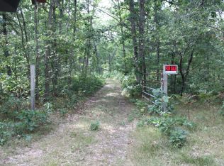 7317 Forest Service Rd, Wellston, MI 49689