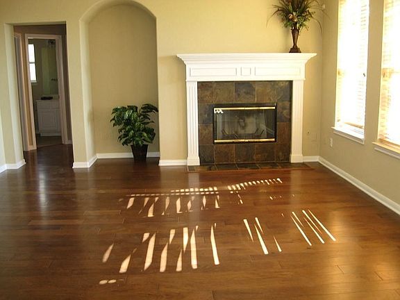 Sun-Drenched Family Room