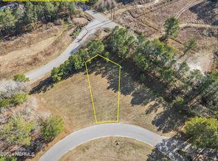 119 Boxwood Ct, Wallace, NC 28466