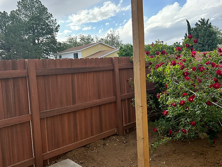 Back Patio