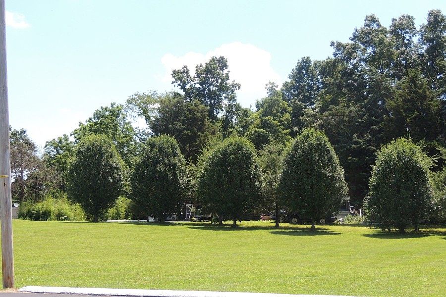 2nd image of 121 Teresa Rd