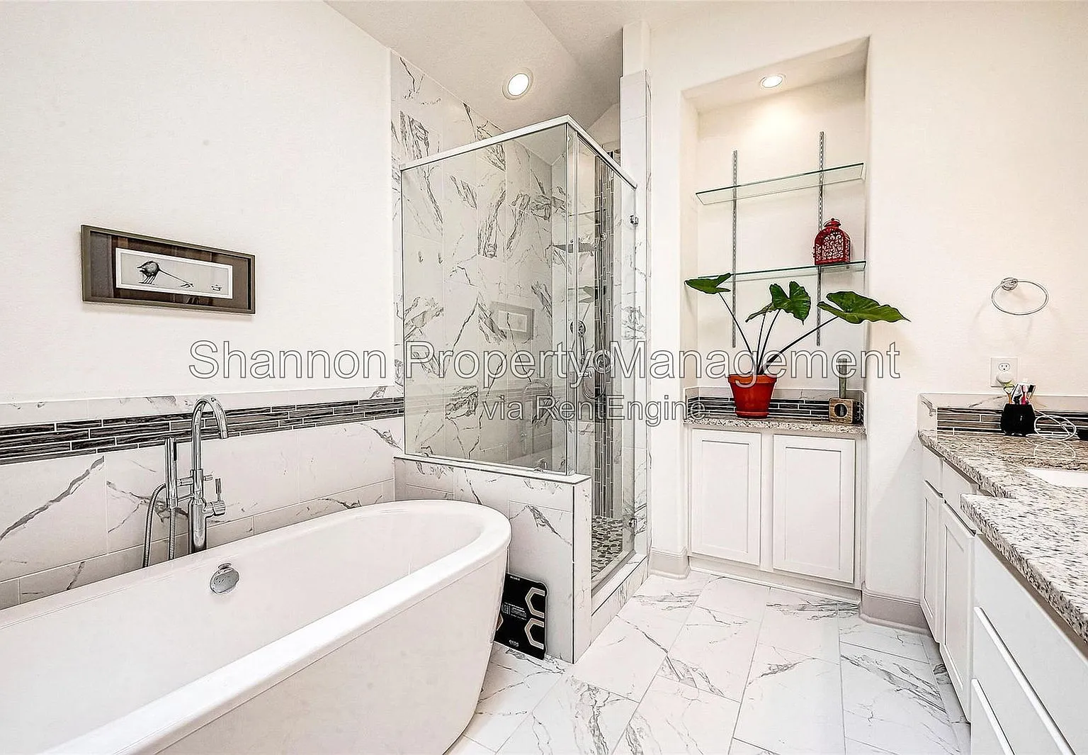 3 bed, 2.5 bath, 2469 sqft, $3,345 — Photo 3