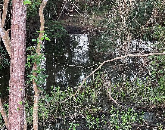 2nd image of 95 Bank Lodge Dr