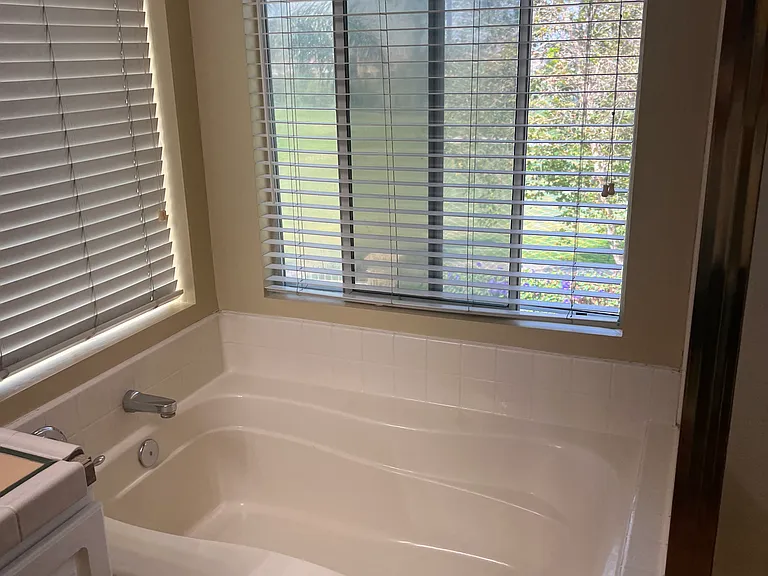Master Bathroom tub