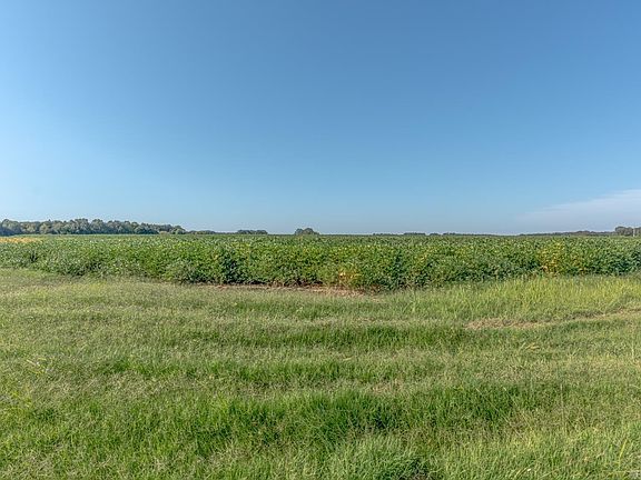 3rd image of County Road 244