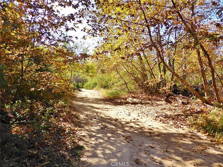 26161 Owl Ct — Photo 29