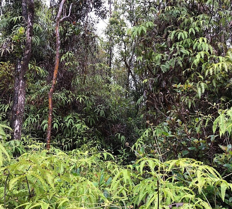 2nd image of Ahiukau St Lot 38