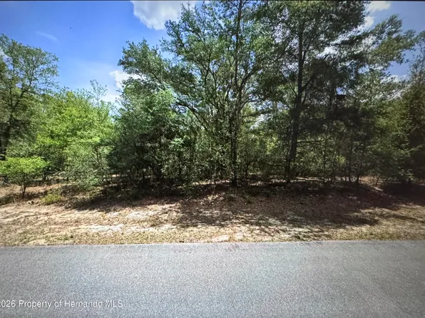 9807 N Pewter Ave, Citrus Springs, FL 34434