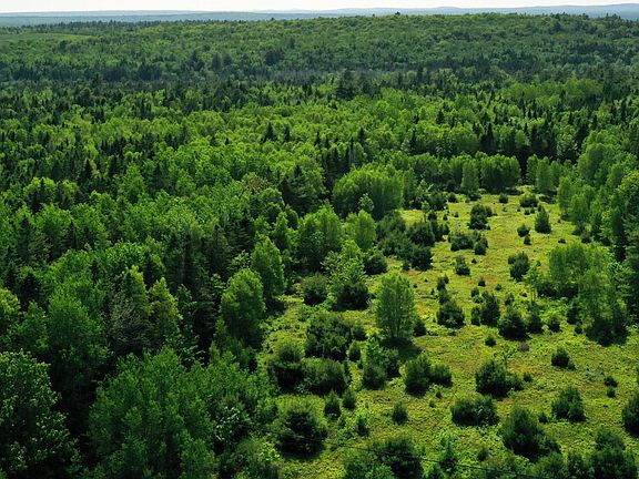 84th image of this home