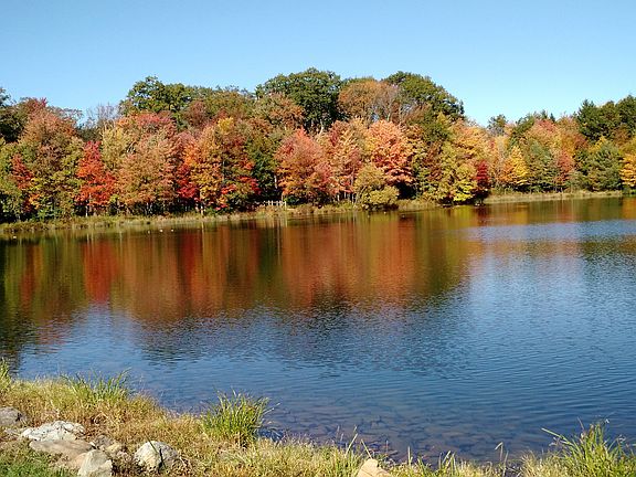 Homeowners' lake nearby 