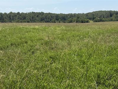 1 Ripley Route Z #Z4, Gatewood, MO, 63942