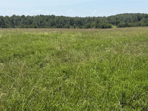 1 Ripley Route Z #Z4, Gatewood, MO 63942