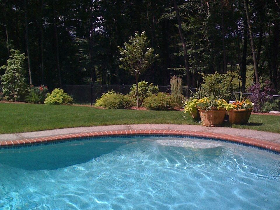 Pool and rear landscape