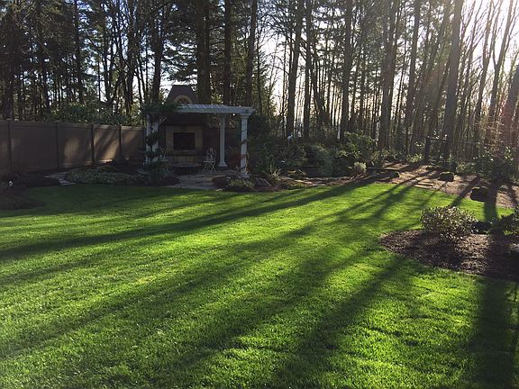 Huge back yard