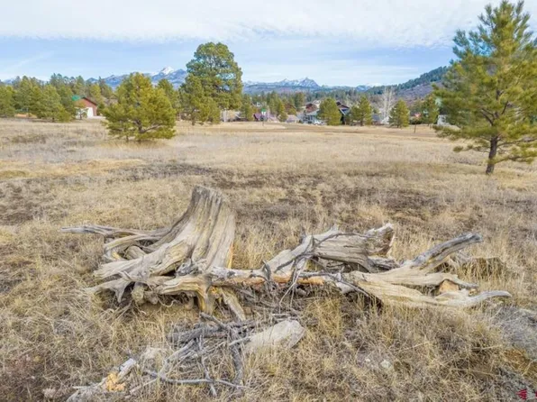 29 Short Drive, Pagosa Springs, CO 81147