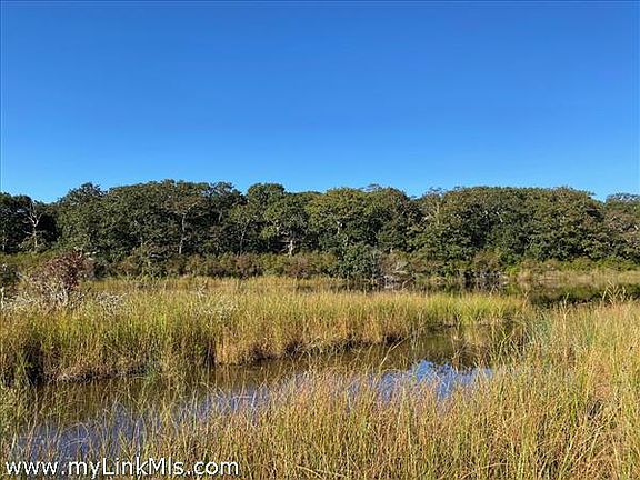 View of pond from shoreline