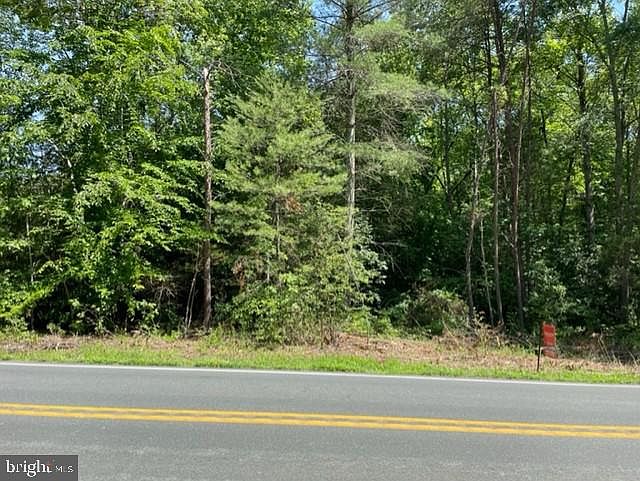 2nd image of Louisa Rd