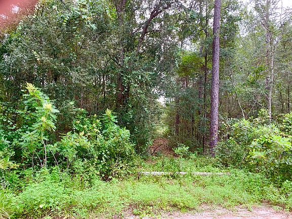 2nd image of 7019 E Shady Nook Ct