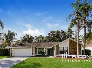 1519 Carter Oaks Dr, Valrico, FL 33596