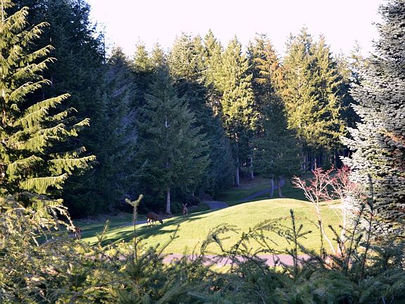 5th image of 5711 Troon Ave SW