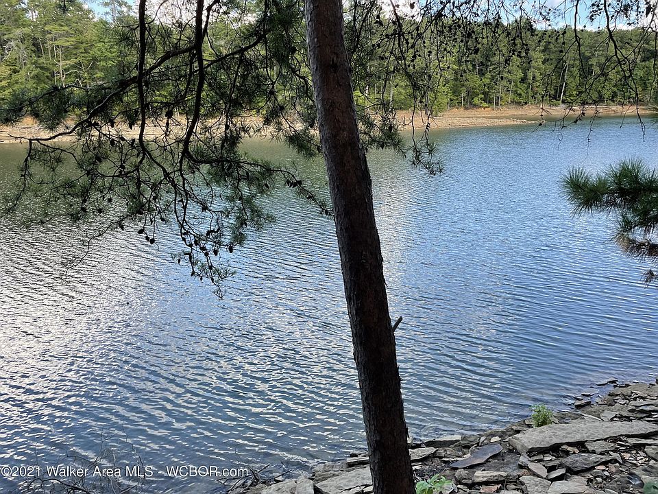 40 Shoreside At Sipsey, Double Springs, AL 35553 Zillow