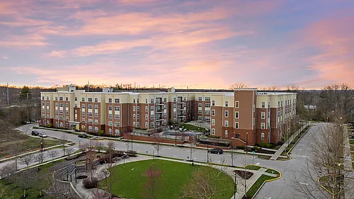 The Park on Morton Photo 1