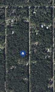 10105 Weatherby Ave, Hastings, FL, 32145