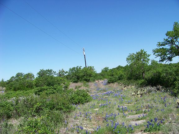 property road in the spring