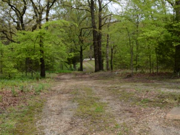 3rd image of 10170 Birch Lane Dr
