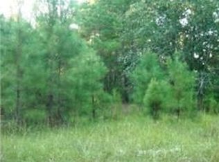 3111 Possum Hollow Rd, Montgomery, TX 77316