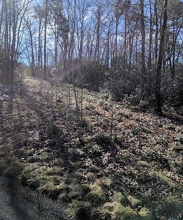 4th image of 169 Verbena Dr Lot Cc-11