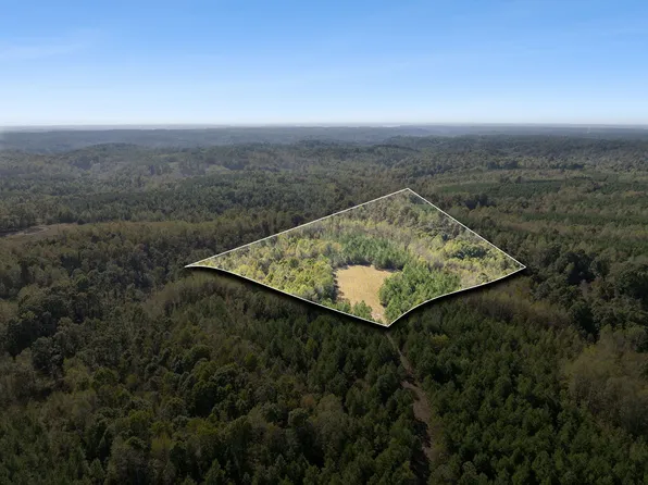 0 Cox Hollow Rd Lot 10, Dover, TN 37058