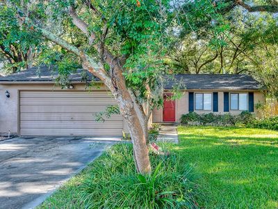 3080 Sugar Bear Trl, Palm Harbor, FL, 34684