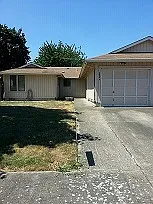 427-4204-6 Evergreen