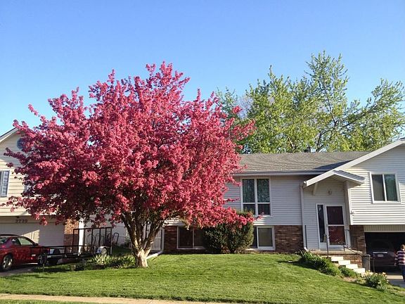 4th image of 3743 Schuemann Dr