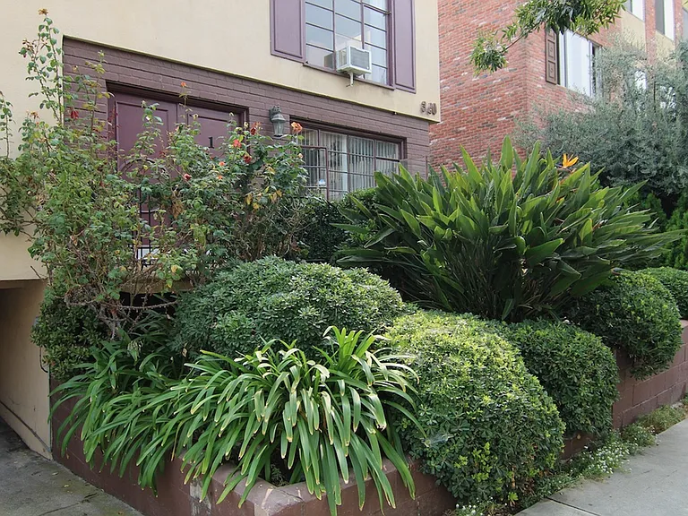 320 S Elm Dr — Photo 3