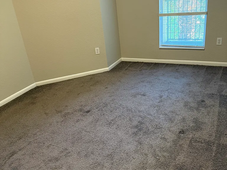 2421 W Horatio St #830 — Photo 13