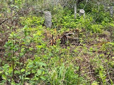 Lot 29-001 Fifth Avenue, Pembroke, ME, 04666