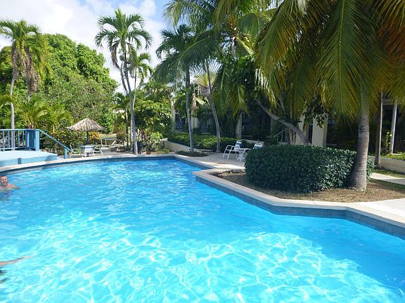 Pool & Landscaping