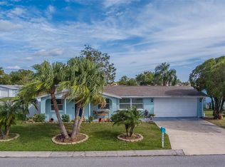 2646 Albion St, Holiday, FL 34691