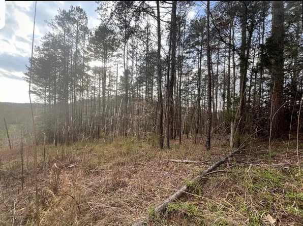 0 Cynthia Chapel Rd, Louisa, KY 41230