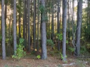 35 Simmons Dr, Camden, SC 29020