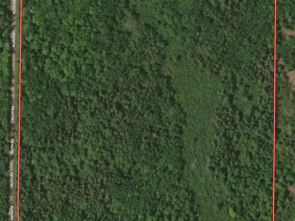 Ruth Rd, Tripoli, WI 54564