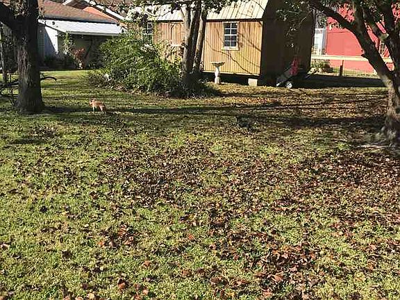 5th image of 1106 Sun Ave