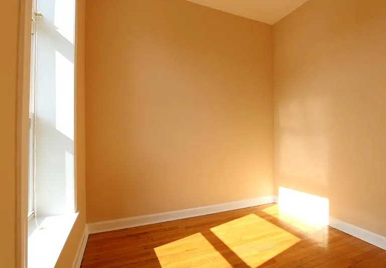 817 S Laflin St #2F — Photo 13