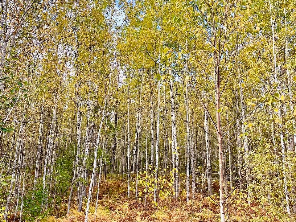 1st image of #11 Mountain Trail